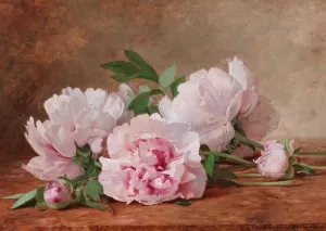 Peonies by Alexandre Gamba De Preydour Oil Painting