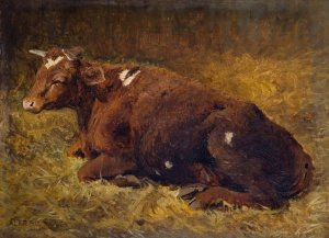 A Cow Lying On The Ground by Alfred Baker Oil Painting
