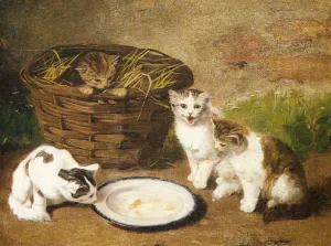 Kittens by a Bowl of Milk painting by Alfred Brunel De Neuville