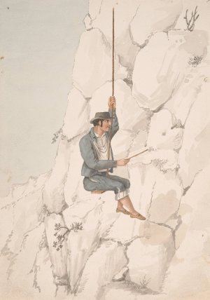 Gomero, Orchilla Gatherer by Alfred Diston Oil Painting
