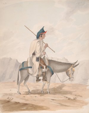 Grand Canary-Man on a Donkey by Alfred Diston Oil Painting