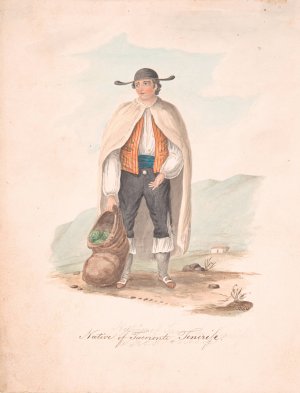 Native of Tacocronte, Tenerife Oil painting by Alfred Diston