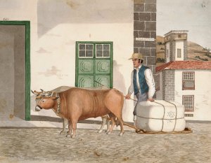 Ox-sledge for the conveyance of merchandise by Alfred Diston Oil Painting