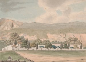 The Botanical Garden near Port Orotava, Tenerife by Alfred Diston Oil Painting
