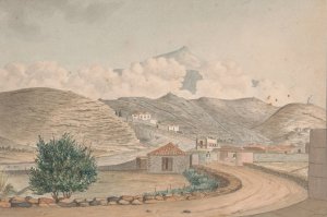 View from Martianez, Port Orotava, Tenerife by Alfred Diston Oil Painting