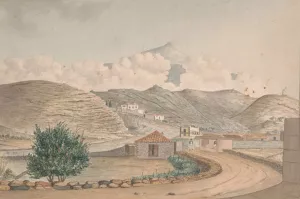 View from Martianez, Port Orotava, Tenerife by Alfred Diston Oil Painting