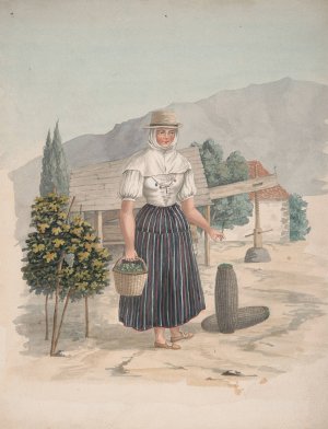 Woman of El Miradero, Tenerife by Alfred Diston Oil Painting