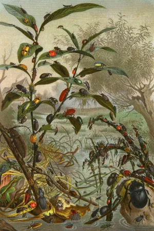 Die Insekten, Tausendfussler und Spinnen 02 by Alfred Edmund Brehm Oil Painting