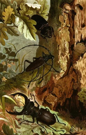Die Insekten, Tausendfussler und Spinnen 05 by Alfred Edmund Brehm Oil Painting