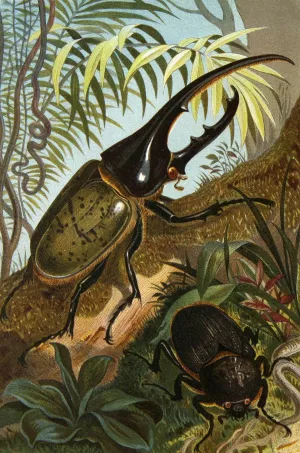 Die Insekten, Tausendfussler und Spinnen 06 by Alfred Edmund Brehm Oil Painting