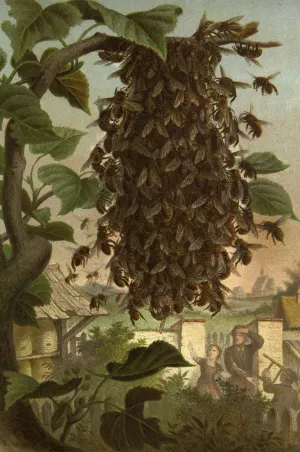 Die Insekten, Tausendfussler und Spinnen 08 by Alfred Edmund Brehm Oil Painting