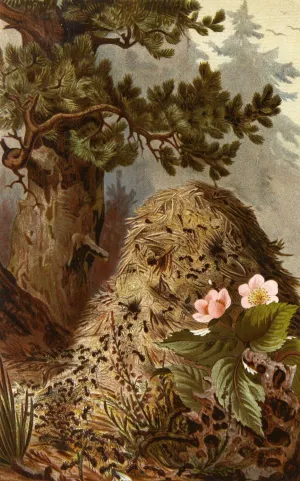 Die Insekten, Tausendfussler und Spinnen 09 by Alfred Edmund Brehm Oil Painting