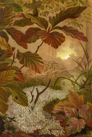 Die Insekten, Tausendfussler und Spinnen 12 by Alfred Edmund Brehm Oil Painting