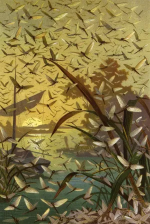 Die Insekten, Tausendfussler und Spinnen 14 by Alfred Edmund Brehm Oil Painting