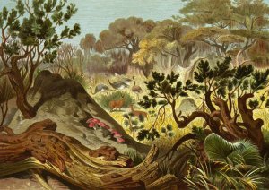 Die Insekten, Tausendfussler und Spinnen 16 by Alfred Edmund Brehm Oil Painting