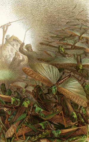 Die Insekten, Tausendfussler und Spinnen 17 by Alfred Edmund Brehm Oil Painting