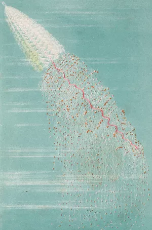 Apolemie contournee by Alfred Fredol Oil Painting