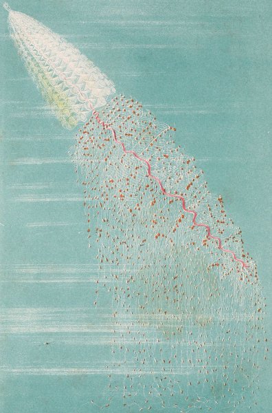 Apolemie contournee  by Alfred Fredol - Hand-Painted Oil Painting Reproduction
