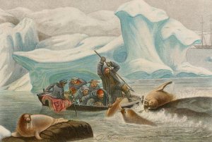 Chasse aux Morses by Alfred Fredol Oil Painting