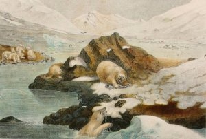 Ours blancs by Alfred Fredol Oil Painting