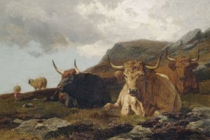 Hochlandrinder by Alfred Grey Oil Painting