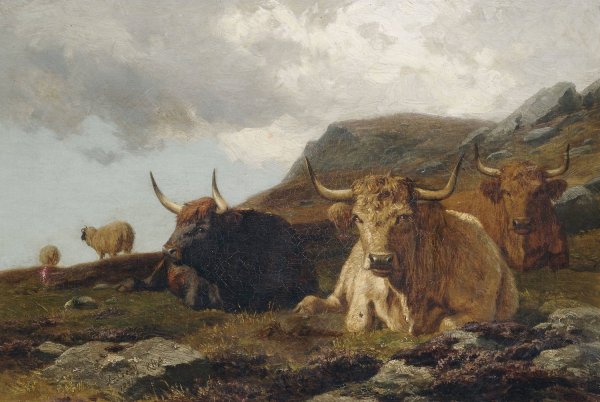 Main Product Photo of Hochlandrinder  Painting by Alfred Grey