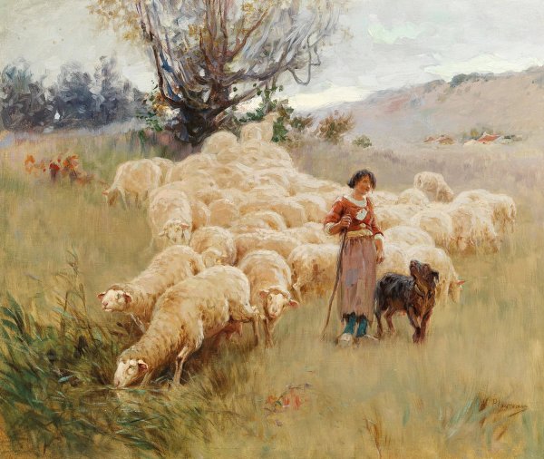 Main Product Photo of A Flock of Sheep Painting by Alfred Plauzeau