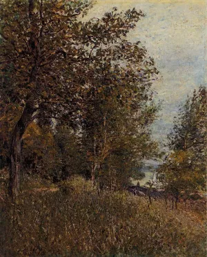 A Corner of the Roches-Courtaut Woods, June by Alfred Sisley Oil Painting