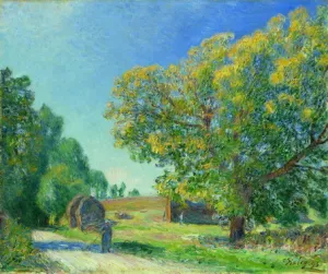 A Forest Clearing by Alfred Sisley Oil Painting