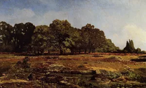 Avenue of Chestnut Trees Near La Celle-Saint-Cloud painting by Alfred Sisley