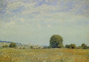 Fields at Saint Cloud by Alfred Sisley Oil Painting