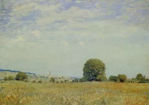 Fields at Saint Cloud by Alfred Sisley Oil Painting