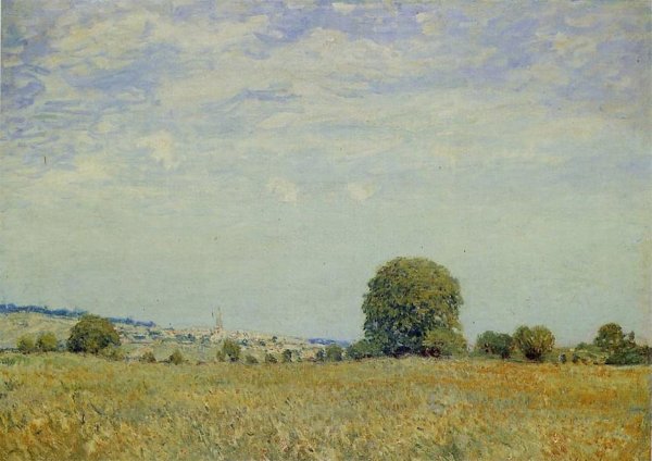 Main Product Photo of Fields at Saint Cloud Painting by Alfred Sisley