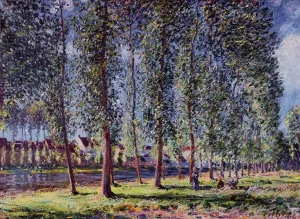 Lane of Poplars at Moret by Alfred Sisley - Oil Painting Reproduction