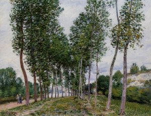 Lane of Poplars on the Banks of the Loing by Alfred Sisley Oil Painting