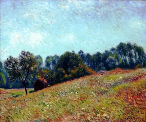 Le Vallon Oil painting by Alfred Sisley