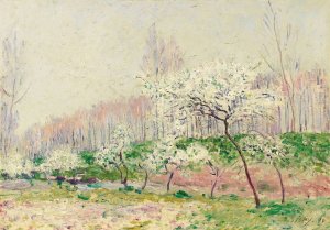Les Pommiers En Fleurs by Alfred Sisley Oil Painting
