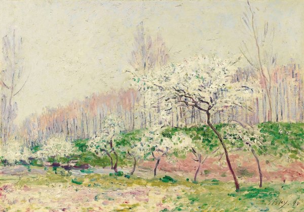Les Pommiers En Fleurs  by Alfred Sisley - Hand-Painted Oil Painting Reproduction