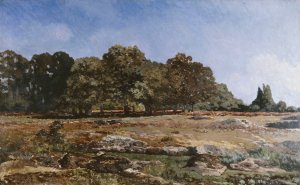 Lisiere de la foret de Fontainebleau by Alfred Sisley Oil Painting