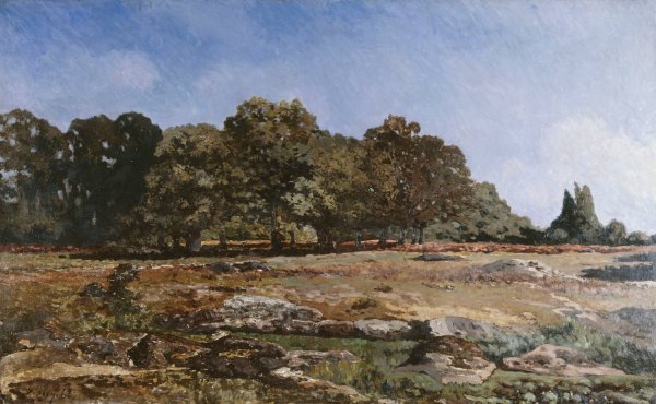 Lisiere de la foret de Fontainebleau  by Alfred Sisley - Hand-Painted Oil Painting Reproduction