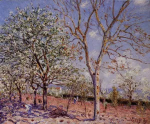 Plum and Walnut Trees in Spring by Alfred Sisley - Oil Painting Reproduction