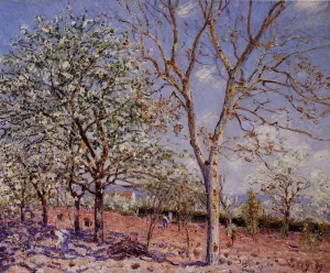 Plum and Walnut Trees in Spring Oil painting by Alfred Sisley
