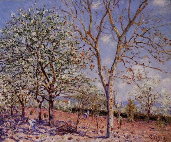 Main Product Photo of Plum and Walnut Trees in Spring Painting by Alfred Sisley