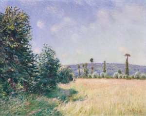 Sahurs Meadows in Morning Sun by Alfred Sisley Oil Painting