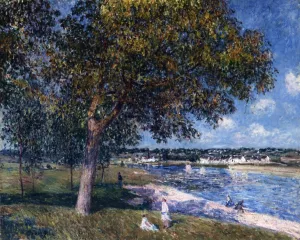 Walnut Tree in a Thomery Field by Alfred Sisley Oil Painting