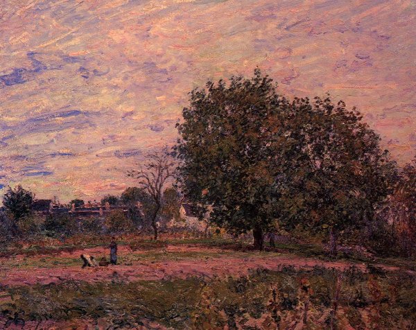 Walnut Trees, Sunset - Early Days of October