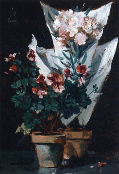 Main Product Photo of Still Life wit Potted Geraniums Painting by Alfred Stevens