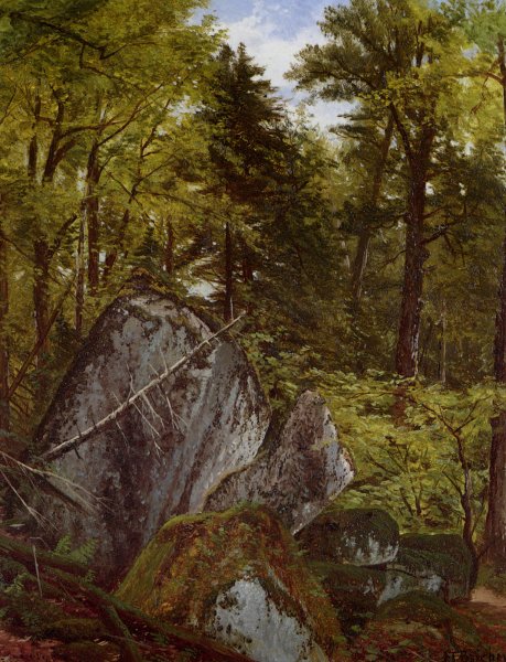 Forest Interior by Alfred Thompson Bricher - Hand-Painted Oil Painting Reproduction