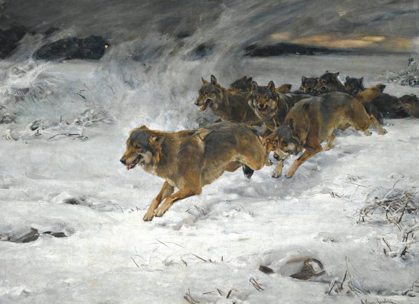 Main Product Photo of A Pack Of Wolves Painting by Alfred Von Wierusz-Kowalski