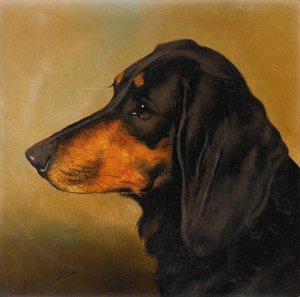 Head Study Of A Dachshund by Alfred Wheeler Oil Painting